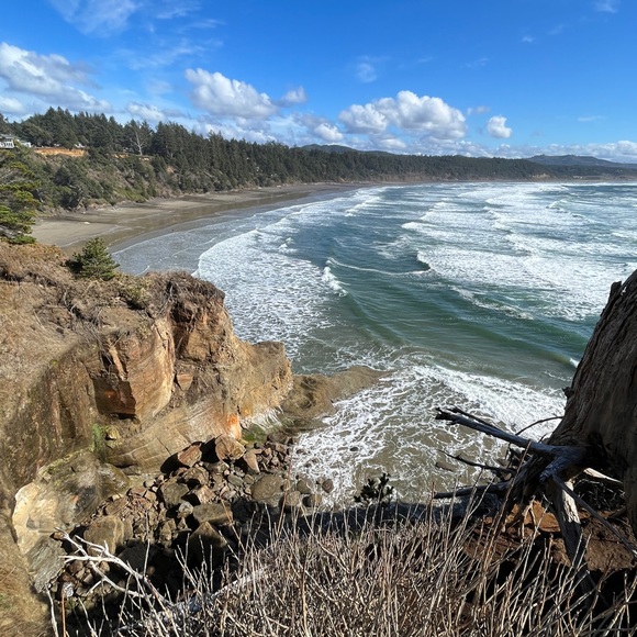 Meet your Posher, Erica - Picture 4 of 6